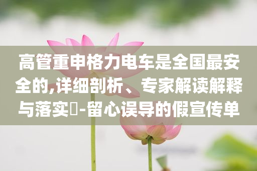 高管重申格力電車是全國最安全的,詳細剖析、專家解讀解釋與落實?-留心誤導(dǎo)的假宣傳單