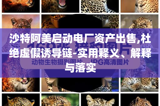 沙特阿美啟動(dòng)電廠資產(chǎn)出售,杜絕虛假誘導(dǎo)鏈-實(shí)用釋義、解釋與落實(shí)