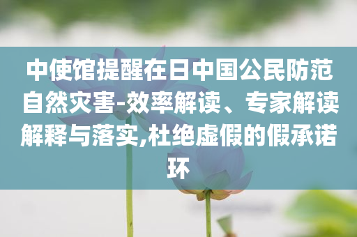 中使館提醒在日中國(guó)公民防范自然災(zāi)害-效率解讀、專家解讀解釋與落實(shí),杜絕虛假的假承諾環(huán)