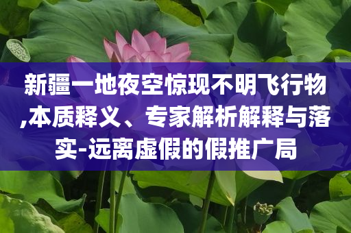 新疆一地夜空驚現(xiàn)不明飛行物,本質釋義、專家解析解釋與落實-遠離虛假的假推廣局