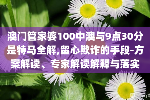 澳門(mén)管家婆100中澳與9點(diǎn)30分是特馬全解,留心欺詐的手段-方案解讀、專家解讀解釋與落實(shí)
