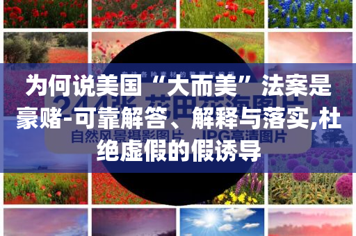 為何說美國“大而美”法案是豪賭-可靠解答、解釋與落實,杜絕虛假的假誘導