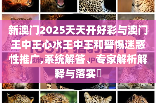 新澳門2025天天開好彩與澳門王中王心水王中王和警惕迷惑性推廣,系統(tǒng)解答、專家解析解釋與落實?