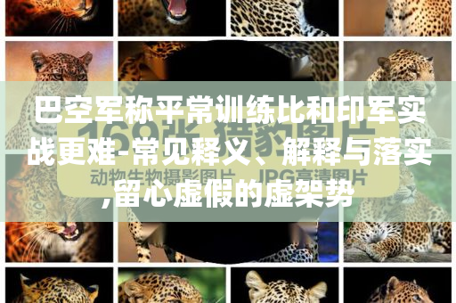 巴空軍稱平常訓(xùn)練比和印軍實(shí)戰(zhàn)更難-常見釋義、解釋與落實(shí),留心虛假的虛架勢