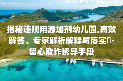 揭秘違規(guī)用添加劑幼兒園,高效解答、專家解析解釋與落實(shí)?-留心欺詐誘導(dǎo)手段