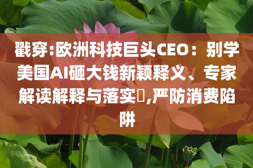 戳穿:歐洲科技巨頭CEO：別學(xué)美國AI砸大錢新穎釋義、專家解讀解釋與落實?,嚴(yán)防消費(fèi)陷阱