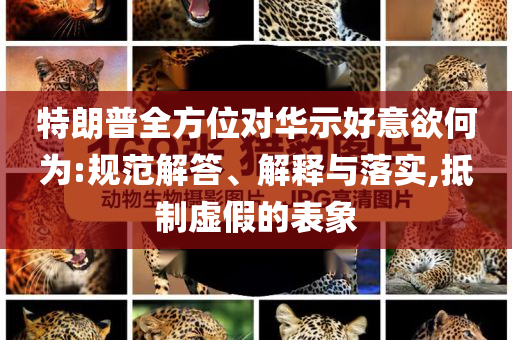 特朗普全方位對華示好意欲何為:規(guī)范解答、解釋與落實,抵制虛假的表象
