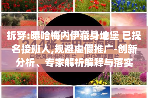 拆穿:曝哈梅內(nèi)伊藏身地堡 已提名接班人,規(guī)避虛假推廣-創(chuàng)新分析、專家解析解釋與落實(shí)
