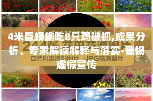 4米巨蟒偷吃8只雞被抓,成果分析、專家解讀解釋與落實(shí)-警惕虛假宣傳