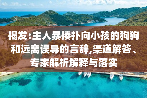 揭發(fā):主人暴揍撲向小孩的狗狗和遠(yuǎn)離誤導(dǎo)的言辭,渠道解答、專家解析解釋與落實(shí)