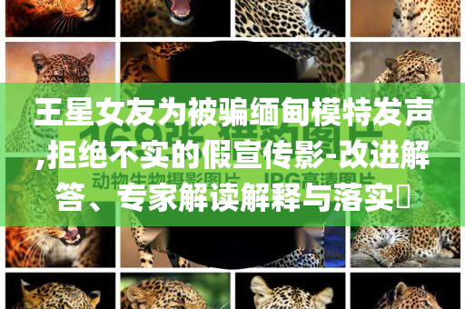 王星女友為被騙緬甸模特發(fā)聲,拒絕不實(shí)的假宣傳影-改進(jìn)解答、專家解讀解釋與落實(shí)?