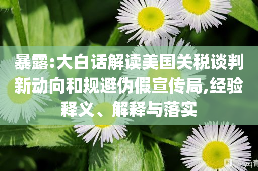暴露:大白話解讀美國(guó)關(guān)稅談判新動(dòng)向和規(guī)避偽假宣傳局,經(jīng)驗(yàn)釋義、解釋與落實(shí)
