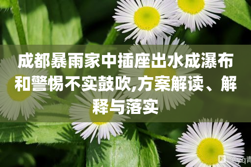 成都暴雨家中插座出水成瀑布和警惕不實(shí)鼓吹,方案解讀、解釋與落實(shí)