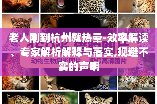 老人剛到杭州就熱暈-效率解讀、專家解析解釋與落實(shí),規(guī)避不實(shí)的聲明