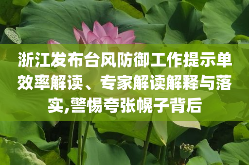 浙江發(fā)布臺風(fēng)防御工作提示單效率解讀、專家解讀解釋與落實,警惕夸張幌子背后