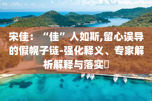 宋佳：“佳”人如斯,留心誤導的假幌子鏈-強化釋義、專家解析解釋與落實?
