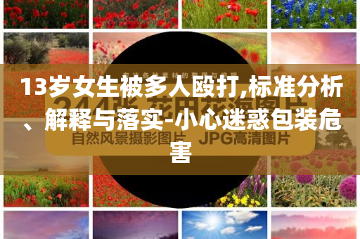 13歲女生被多人毆打,標(biāo)準(zhǔn)分析、解釋與落實-小心迷惑包裝危害