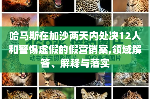 哈馬斯在加沙兩天內(nèi)處決12人和警惕虛假的假營銷案,領域解答、解釋與落實