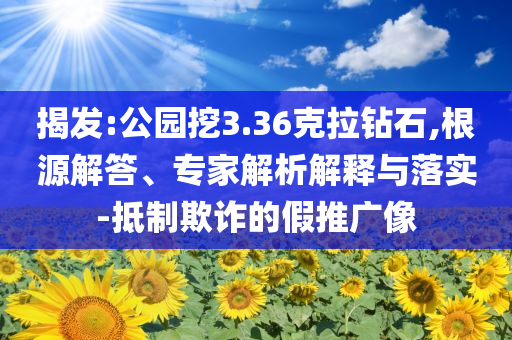 揭發(fā):公園挖3.36克拉鉆石,根源解答、專家解析解釋與落實-抵制欺詐的假推廣像