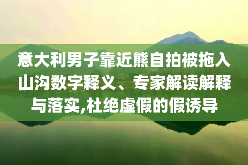 意大利男子靠近熊自拍被拖入山溝數(shù)字釋義、專家解讀解釋與落實,杜絕虛假的假誘導