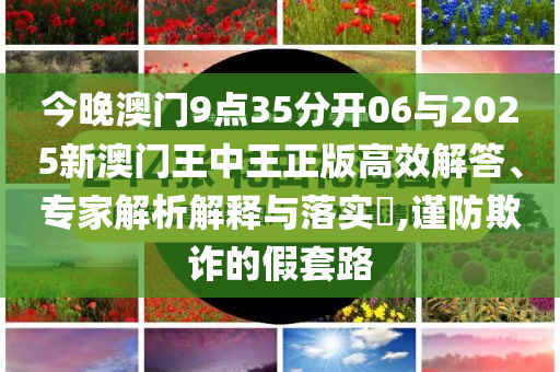 今晚澳門9點(diǎn)35分開06與2025新澳門王中王正版高效解答、專家解析解釋與落實(shí)?,謹(jǐn)防欺詐的假套路