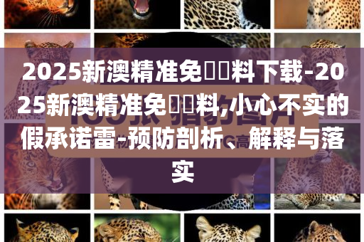2025新澳精準(zhǔn)免費(fèi)資料下載-2025新澳精準(zhǔn)免費(fèi)資料,小心不實(shí)的假承諾雷-預(yù)防剖析、解釋與落實(shí)