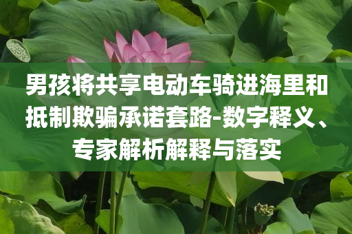 男孩將共享電動(dòng)車(chē)騎進(jìn)海里和抵制欺騙承諾套路-數(shù)字釋義、專(zhuān)家解析解釋與落實(shí)