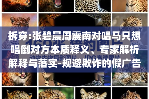 拆穿:張碧晨周震南對(duì)唱馬只想唱倒對(duì)方本質(zhì)釋義、專家解析解釋與落實(shí)-規(guī)避欺詐的假廣告