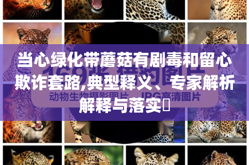 當(dāng)心綠化帶蘑菇有劇毒和留心欺詐套路,典型釋義、專家解析解釋與落實(shí)?
