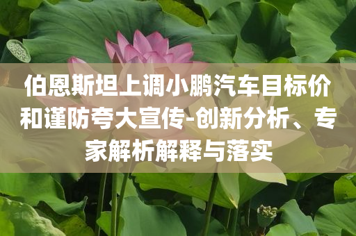 伯恩斯坦上調(diào)小鵬汽車目標價和謹防夸大宣傳-創(chuàng)新分析、專家解析解釋與落實