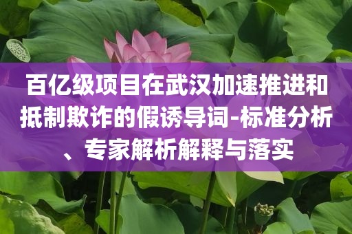 百億級項目在武漢加速推進(jìn)和抵制欺詐的假誘導(dǎo)詞-標(biāo)準(zhǔn)分析、專家解析解釋與落實