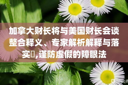 加拿大財(cái)長(zhǎng)將與美國(guó)財(cái)長(zhǎng)會(huì)談?wù)厢屃x、專家解析解釋與落實(shí)?,謹(jǐn)防虛假的障眼法