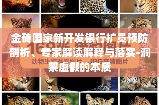 金磚國(guó)家新開發(fā)銀行擴(kuò)員預(yù)防剖析、專家解讀解釋與落實(shí)-洞察虛假的本質(zhì)
