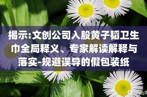 揭示:文創(chuàng)公司入股黃子韜衛(wèi)生巾全局釋義、專家解讀解釋與落實(shí)-規(guī)避誤導(dǎo)的假包裝紙
