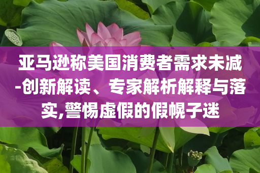 亞馬遜稱美國消費(fèi)者需求未減-創(chuàng)新解讀、專家解析解釋與落實(shí),警惕虛假的假幌子迷
