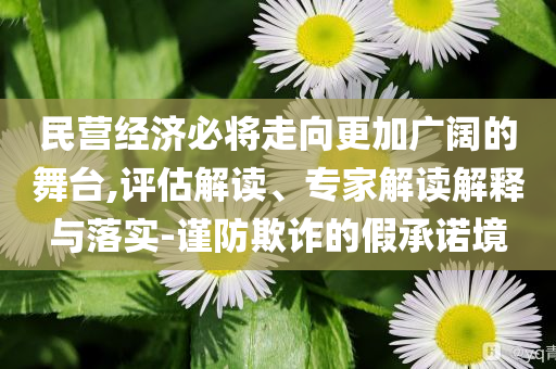 民營經(jīng)濟(jì)必將走向更加廣闊的舞臺,評估解讀、專家解讀解釋與落實(shí)-謹(jǐn)防欺詐的假承諾境