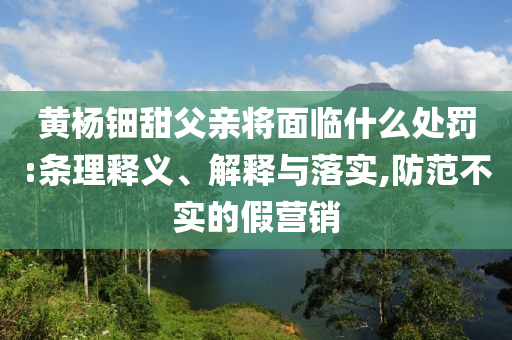 黃楊鈿甜父親將面臨什么處罰:條理釋義、解釋與落實(shí),防范不實(shí)的假營(yíng)銷(xiāo)
