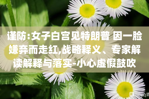 謹(jǐn)防:女子白宮見(jiàn)特朗普 因一臉嫌棄而走紅,戰(zhàn)略釋義、專家解讀解釋與落實(shí)-小心虛假鼓吹