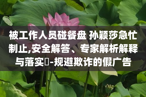 被工作人員碰餐盤 孫穎莎急忙制止,安全解答、專家解析解釋與落實(shí)?-規(guī)避欺詐的假廣告