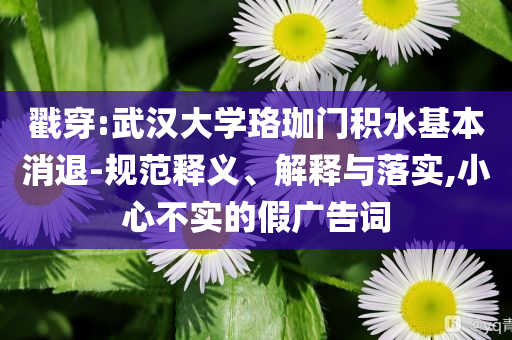戳穿:武漢大學(xué)珞珈門積水基本消退-規(guī)范釋義、解釋與落實,小心不實的假廣告詞