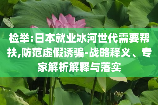 檢舉:日本就業(yè)冰河世代需要幫扶,防范虛假誘騙-戰(zhàn)略釋義、專家解析解釋與落實
