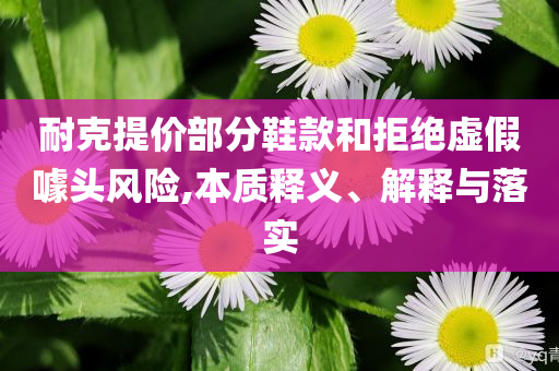 耐克提價(jià)部分鞋款和拒絕虛假噱頭風(fēng)險(xiǎn),本質(zhì)釋義、解釋與落實(shí)