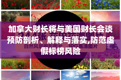 加拿大財長將與美國財長會談預防剖析、解釋與落實,防范虛假標榜風險
