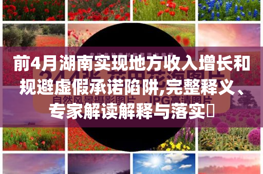 前4月湖南實(shí)現(xiàn)地方收入增長和規(guī)避虛假承諾陷阱,完整釋義、專家解讀解釋與落實(shí)?