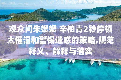 觀眾問朱媛媛 辛柏青2秒停頓太催淚和警惕迷惑的策略,規(guī)范釋義、解釋與落實(shí)