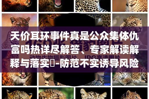 天價耳環(huán)事件真是公眾集體仇富嗎熱詳盡解答、專家解讀解釋與落實?-防范不實誘導(dǎo)風(fēng)險