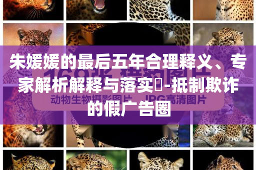 朱媛媛的最后五年合理釋義、專家解析解釋與落實(shí)?-抵制欺詐的假廣告圈