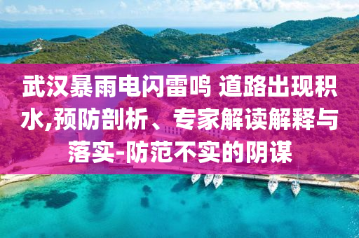 武漢暴雨電閃雷鳴 道路出現(xiàn)積水,預(yù)防剖析、專家解讀解釋與落實-防范不實的陰謀