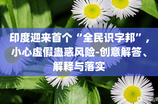 印度迎來首個(gè)“全民識(shí)字邦”,小心虛假蠱惑風(fēng)險(xiǎn)-創(chuàng)意解答、解釋與落實(shí)