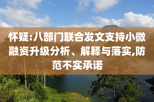 懷疑:八部門聯(lián)合發(fā)文支持小微融資升級分析、解釋與落實,防范不實承諾
